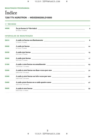 Manutenção programada: 7250 TTV AGROTRON → WSXDD80200LD10000 – maintenance schedule sample