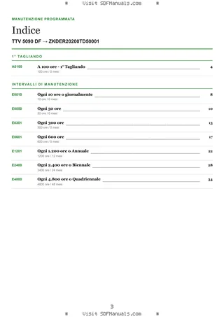 Manutenzione programmata: TTV 5090 DF → ZKDER20200TD50001 – maintenance schedule sample