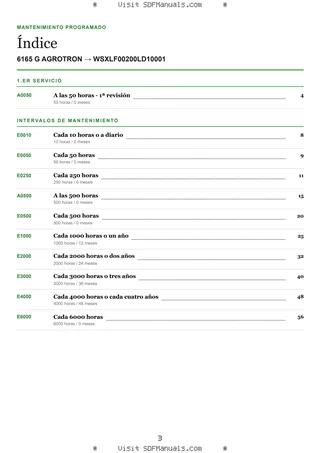 Mantenimiento programado: 6165 G AGROTRON → WSXLF00200LD10001 – maintenance schedule sample