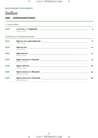 Manutenzione programmata: 3060 → ZKDNH40200TD50001 – maintenance schedule sample