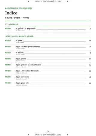 Manutenzione programmata: C 9205 TS/TSB → 18000 – maintenance schedule sample
