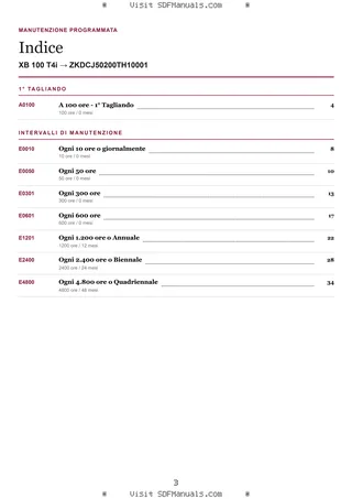 Manutenzione programmata: XB 100 T4i → ZKDCJ50200TH10001 – maintenance schedule sample