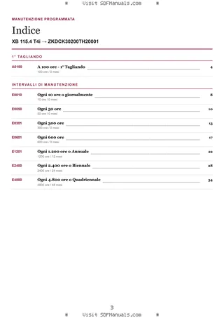 Manutenzione programmata: XB 115.4 T4i → ZKDCK30200TH20001 – maintenance schedule sample