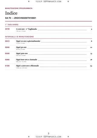 Manutenzione programmata: XA 70 → ZKDCV60200TH10001 – maintenance schedule sample
