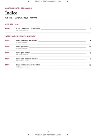 Mantenimiento programado: XB 110 → ZKDCX70200TH10001 – maintenance schedule sample