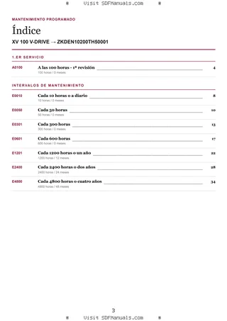 Mantenimiento programado: XV 100 V-DRIVE → ZKDEN10200TH50001 – maintenance schedule sample