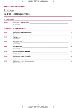 Manutenzione programmata: XL.K 135 → ZKDGW30200TH50001 – maintenance schedule sample