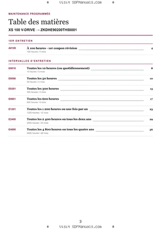 Maintenance programmée: XS 100 V-DRIVE → ZKDHE90200TH50001 – maintenance schedule sample