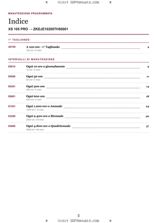 Manutenzione programmata: XS 105 PRO → ZKDJE10200TH50001 – maintenance schedule sample