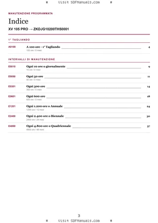 Manutenzione programmata: XV 105 PRO → ZKDJG10200TH50001 – maintenance schedule sample