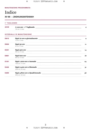Manutenzione programmata: XV 90 → ZKDKU00200TD50001 – maintenance schedule sample