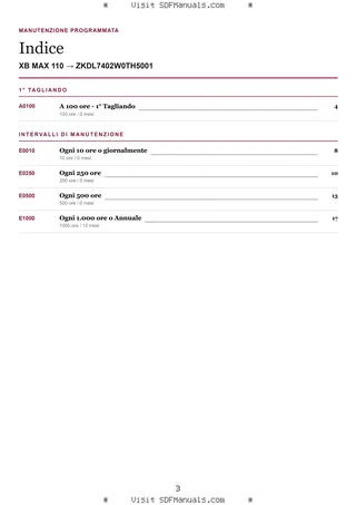 Manutenzione programmata: XB MAX 110 → ZKDL7402W0TH5001 – maintenance schedule sample