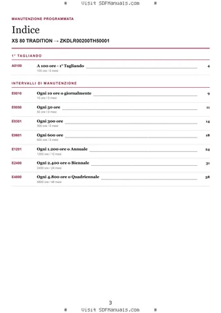 Manutenzione programmata: XS 80 TRADITION → ZKDLR00200TH50001 – maintenance schedule sample