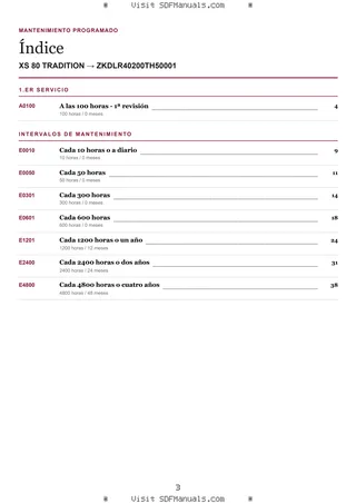Mantenimiento programado: XS 80 TRADITION → ZKDLR40200TH50001 – maintenance schedule sample