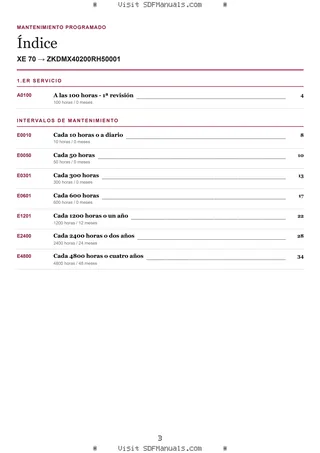 Mantenimiento programado: XE 70 → ZKDMX40200RH50001 – maintenance schedule sample