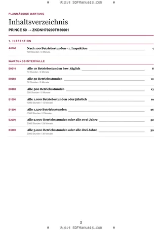 Planmäßige Wartung: PRINCE 50 → ZKDNH70200TH50001 – maintenance schedule sample