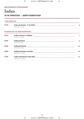 Mantenimiento programado: XF 90 TRADITION → ZKDP1702W0TH1001 – maintenance schedule sample