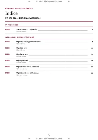 Manutenzione programmata: XB 100 TB → ZKDR1602W0TH1001 – maintenance schedule sample