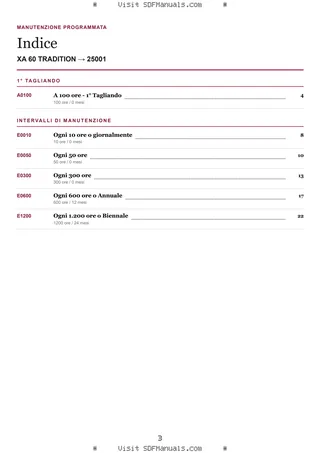 Manutenzione programmata: XA 60 TRADITION → 25001 – maintenance schedule sample