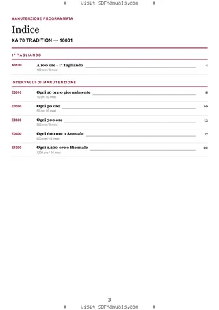 Manutenzione programmata: XA 70 TRADITION → 10001 – maintenance schedule sample