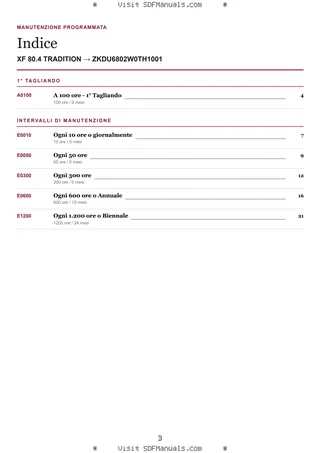 Manutenzione programmata: XF 80.4 TRADITION → ZKDU6802W0TH1001 – maintenance schedule sample