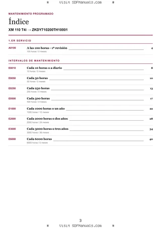 Mantenimiento programado: XM 110 T4i → ZKDY710200TH10001 – maintenance schedule sample