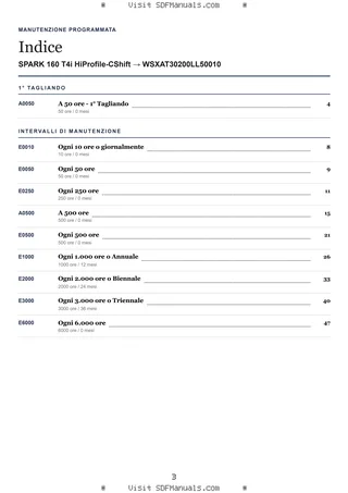 Manutenzione programmata: SPARK 160 T4i HiProfile-CShift → WSXAT30200LL50010 – maintenance schedule sample