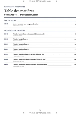 Maintenance programmée: STRIKE 100 T4i → ZKDBG80200TL20001 – maintenance schedule sample