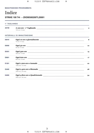 Manutenzione programmata: STRIKE 100 T4i → ZKDBG80200TL20001 – maintenance schedule sample