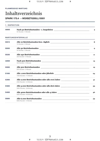 Planmäßige Wartung: SPARK 175.4 → WSXBZ70200LL10001 – maintenance schedule sample