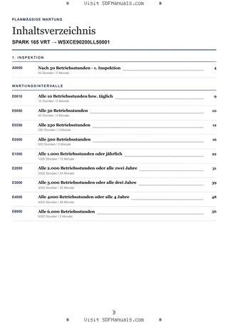Planmäßige Wartung: SPARK 165 VRT → WSXCE90200LL50001 – maintenance schedule sample