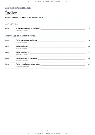 Mantenimiento programado: RF 65 TREND → ZKDCK80200RL10001 – maintenance schedule sample