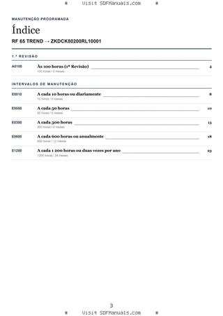 Manutenção programada: RF 65 TREND → ZKDCK80200RL10001 – maintenance schedule sample