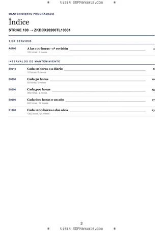 Mantenimiento programado: STRIKE 100 → ZKDCX20200TL10001 – maintenance schedule sample