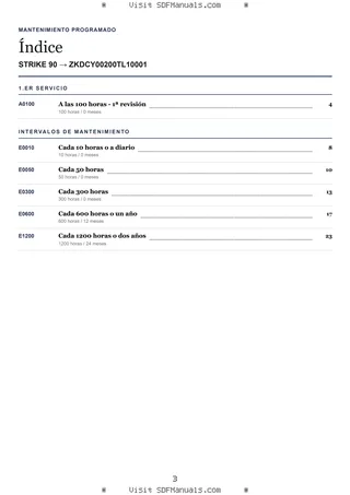Mantenimiento programado: STRIKE 90 → ZKDCY00200TL10001 – maintenance schedule sample