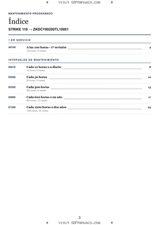 Mantenimiento programado: STRIKE 110 → ZKDCY80200TL10001 – maintenance schedule sample