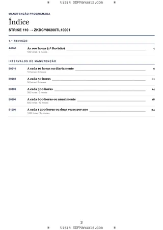 Manutenção programada: STRIKE 110 → ZKDCY80200TL10001 – maintenance schedule sample