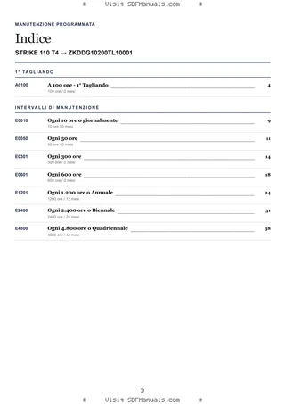 Manutenzione programmata: STRIKE 110 T4 → ZKDDG10200TL10001 – maintenance schedule sample