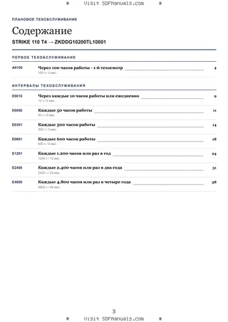 Плановое техобслуживание: STRIKE 110 T4 → ZKDDG10200TL10001 – maintenance schedule sample