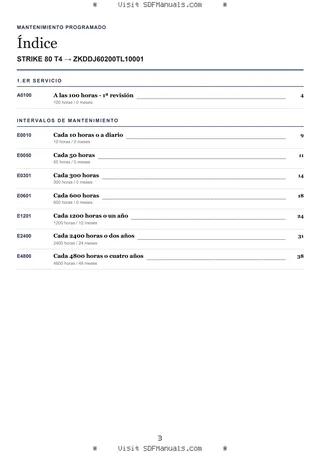 Mantenimiento programado: STRIKE 80 T4 → ZKDDJ60200TL10001 – maintenance schedule sample