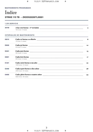 Mantenimiento programado: STRIKE 115 TB → ZKDDS20200TL50001 – maintenance schedule sample