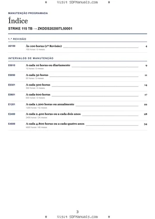 Manutenção programada: STRIKE 115 TB → ZKDDS20200TL50001 – maintenance schedule sample