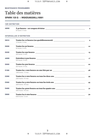 Maintenance programmée: SPARK 135 G → WSXDU60200LL10001 – maintenance schedule sample