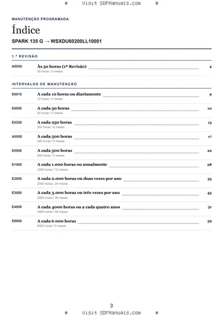 Manutenção programada: SPARK 135 G → WSXDU60200LL10001 – maintenance schedule sample