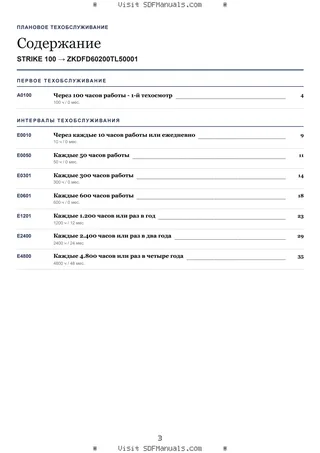 Плановое техобслуживание: STRIKE 100 → ZKDFD60200TL50001 – maintenance schedule sample