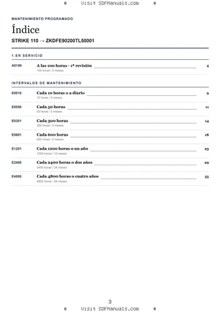 Mantenimiento programado: STRIKE 110 → ZKDFE90200TL50001 – maintenance schedule sample
