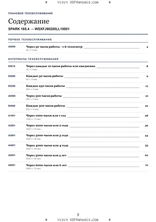 Плановое техобслуживание: SPARK 165.4 → WSXFJ90200LL10001 – maintenance schedule sample