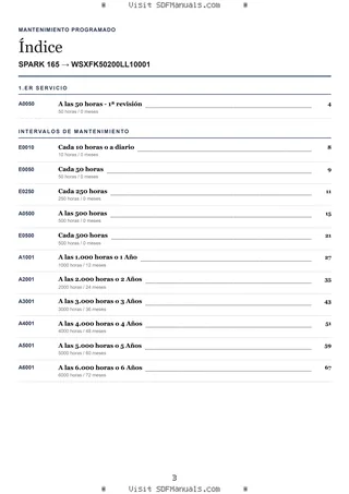 Mantenimiento programado: SPARK 165 → WSXFK50200LL10001 – maintenance schedule sample