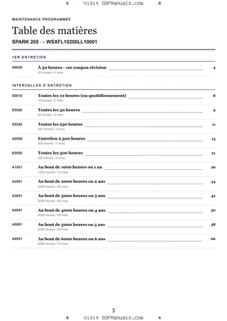 Maintenance programmée: SPARK 205 → WSXFL10200LL10001 – maintenance schedule sample
