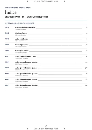 Mantenimiento programado: SPARK 230 VRT HD → WSXFM90200LL10001 – maintenance schedule sample